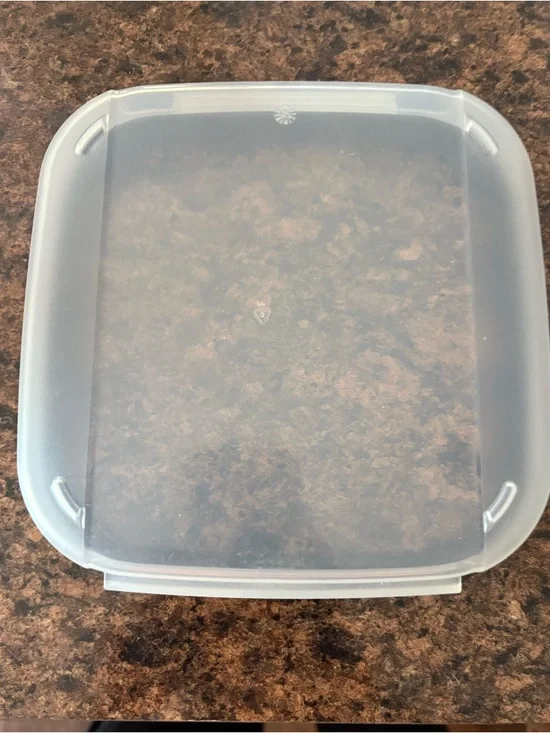 Tupperware Food Storage Container - Picture 8 of 8